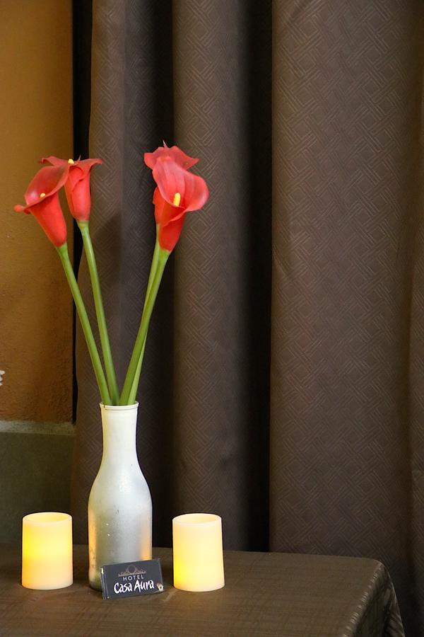 Hotel Casa Aura カルタゴ エクステリア 写真